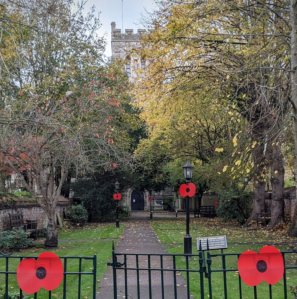 Poppies in Eton